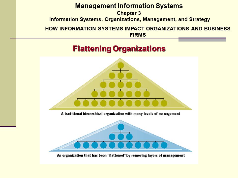 Managing information systems - Essay Example